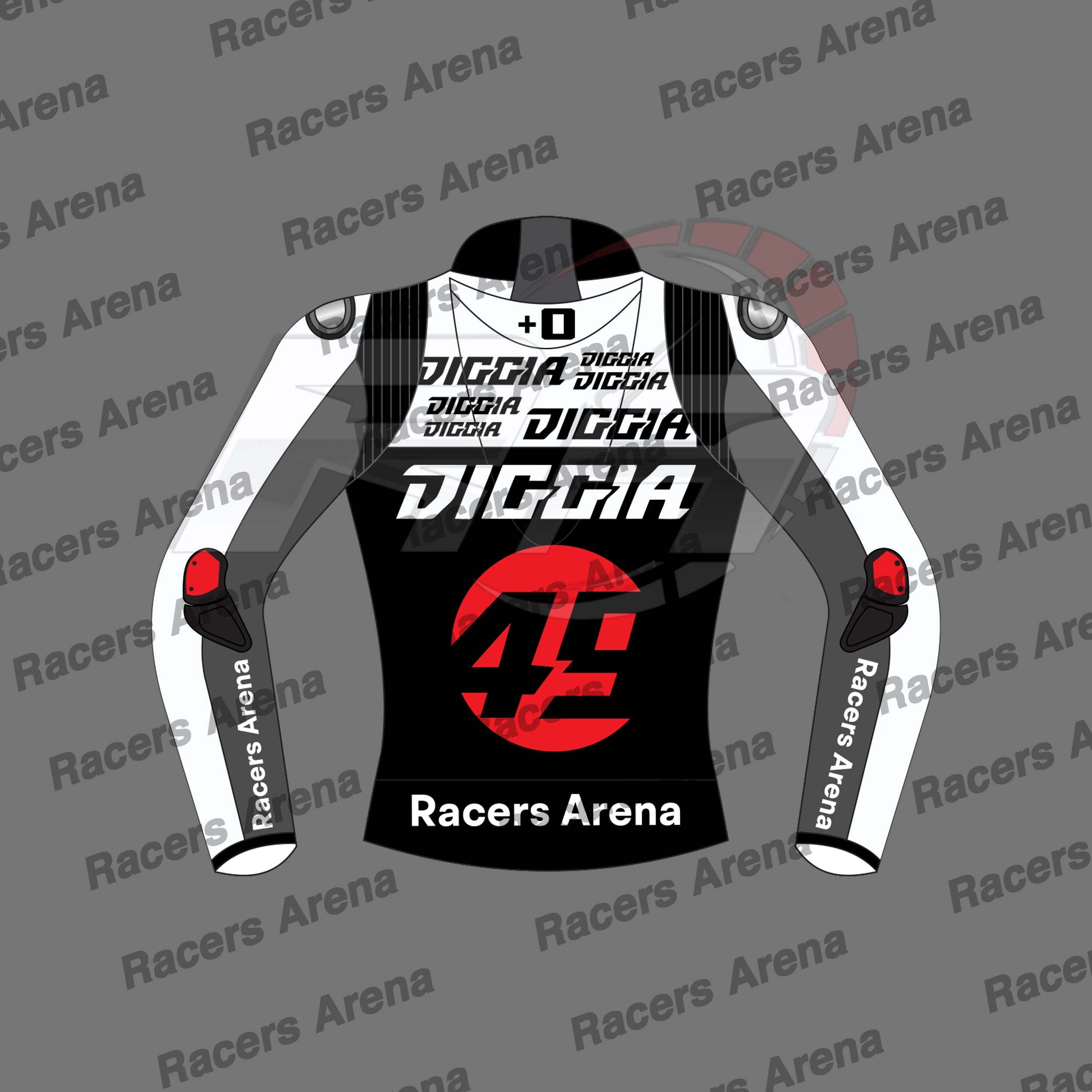Fabio Di Giannantonio Ducati Winter Test MotoGP 2023 Motorcycle Race Leathers Jacket Back